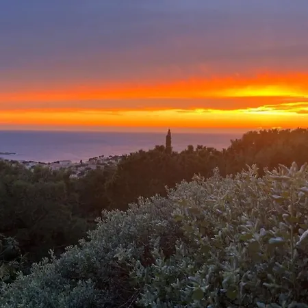 Superbe Vue Et Piscine Lägenhet Bandol
